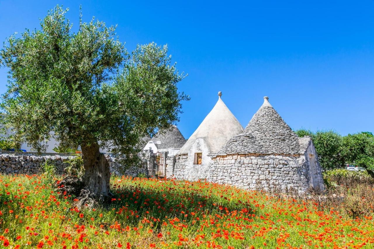 Domus Otium Ostuni - Tiny House Apartment Exterior photo